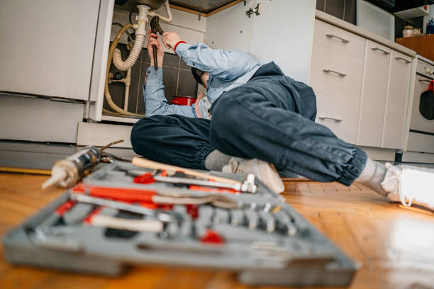 Best Leak Detection Services  in Springfield, SD