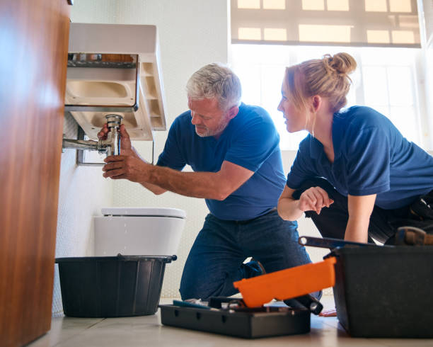Best Clogged Drain Plumber  in Springfield, SD